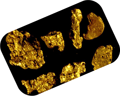 myGold app showing gold lease earnings and gold weight growth